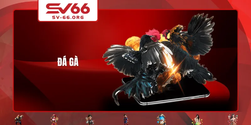Đá Gà